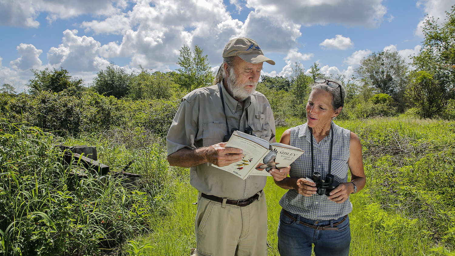 Lake County's Top 6 Destinations for Nature Lovers